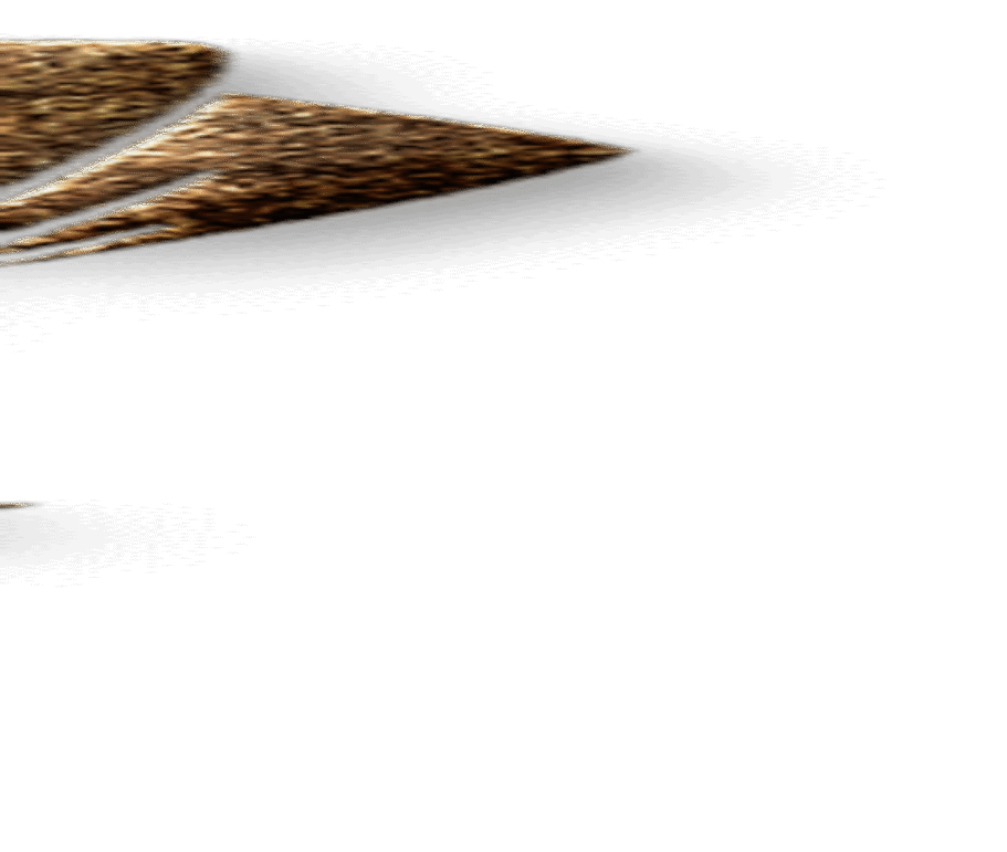 LOGOS THE PHOTO STUDIOdddf (1)